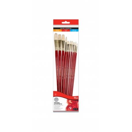 Set de 10 brosses soies de porc manches Longs