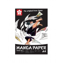 Bloc bristol manga 250g 20F